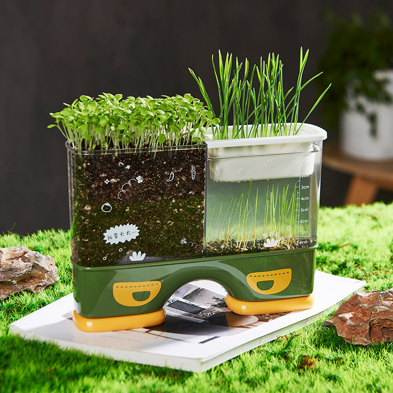 Children Planting Box Transparent Potted Mini Farm Germination Plant Observation Window Small Flower Farmers Root System Growth Seed Dish-Taobao