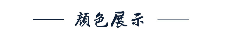 Blouson hiver pour homme   OTHER - Ref 3114861 Image 18