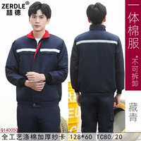 Тибетская синяя и синяя интегрированная модель