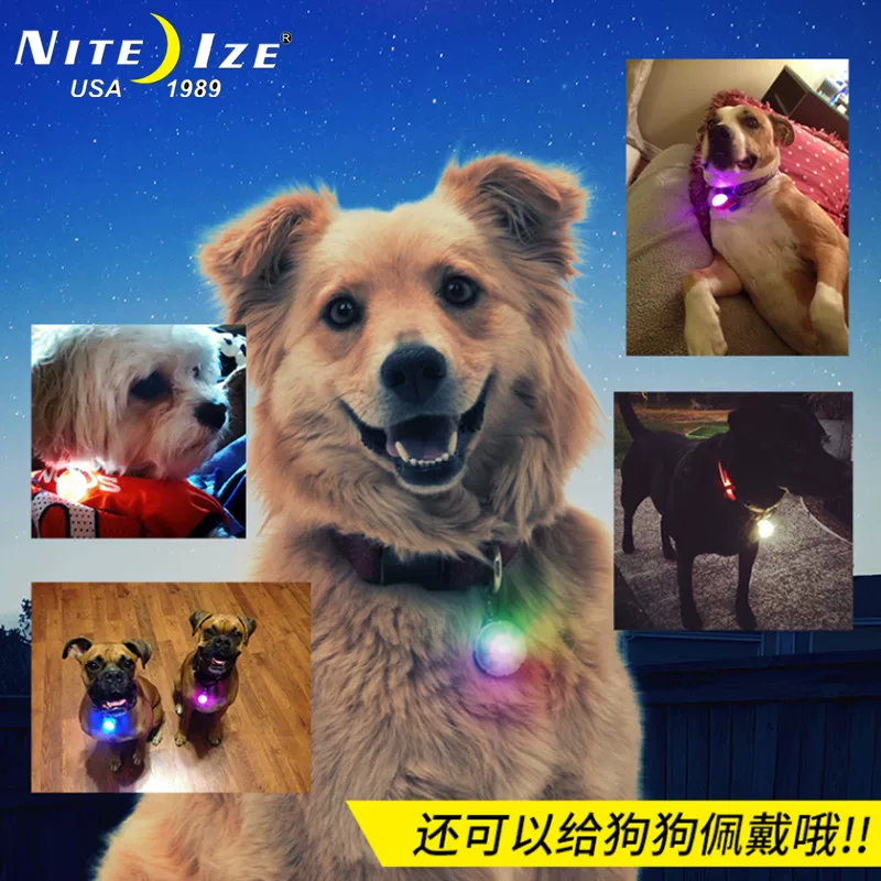 [美国奈爱Niteize宠物水滴灯幻彩扣遛猫狗发光警示吊坠夜光LED防水]