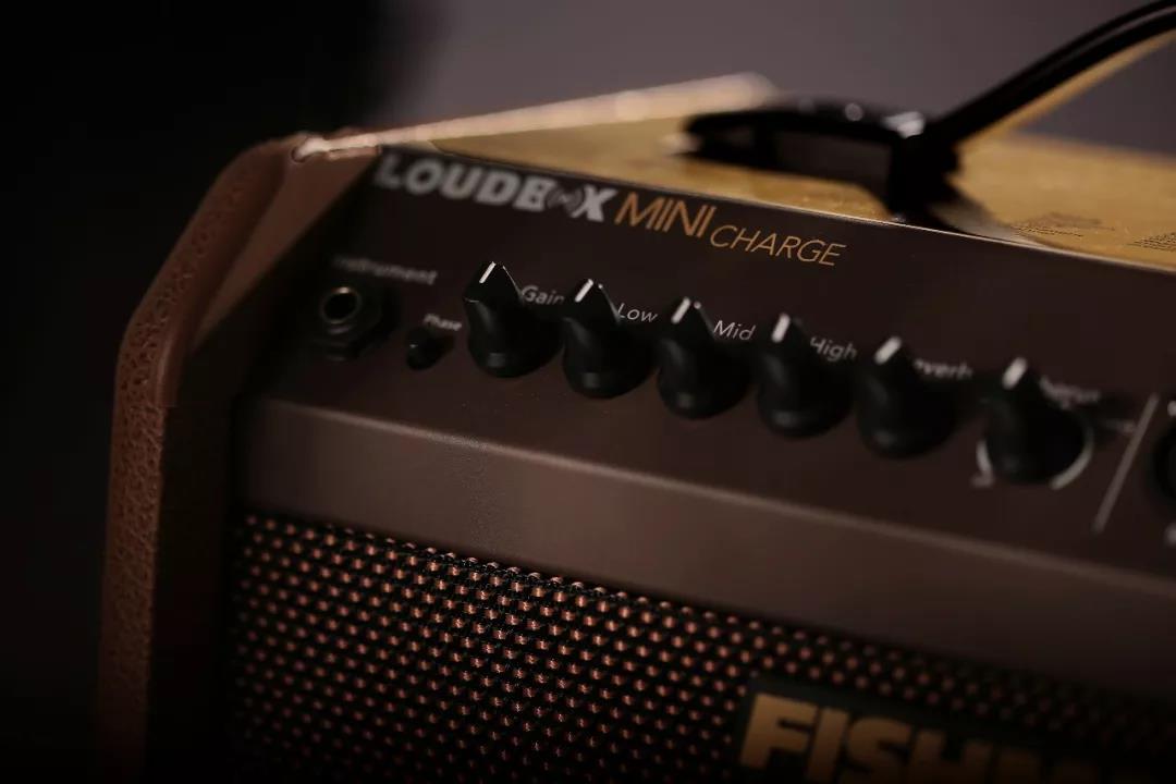 Ngư dân Fishman Loa phóng thanh Mini Charge Portable Bluetooth Box Guitar Loa Loa - Loa loa loa thanh lg