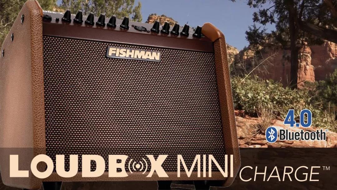Ngư dân Fishman Loa phóng thanh Mini Charge Portable Bluetooth Box Guitar Loa Loa - Loa loa loa thanh lg