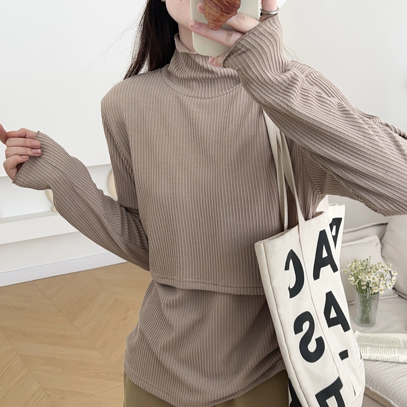 Spring and Autumn Long-Sleeve High-Neck Nursing Top, Trendy Mom's Postpartum Breastfeeding Undershirt, Autumn Sleepwear, Nursing Clothes