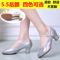 Female adult soft bottom Latin dance shoes square dance teacher shoes performance shoes practice shoes Four Seasons dance shoes just dance shoes