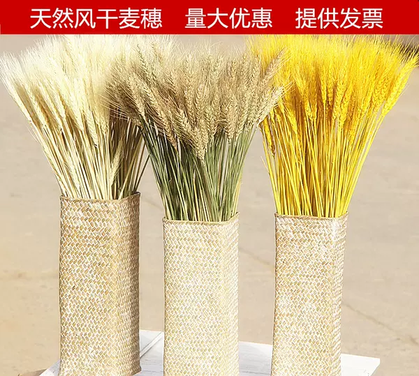 Товары от 一亩三分地仿真