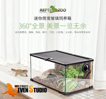 Reptizoo Hedgehog Tortoise Lizard Horned Frog Palace guard Glass villa landscaping Micro landscape set