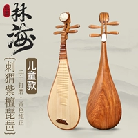 [Та же модель] Gambia Rosewood-Hedgehog Rosewood Peony Head Children