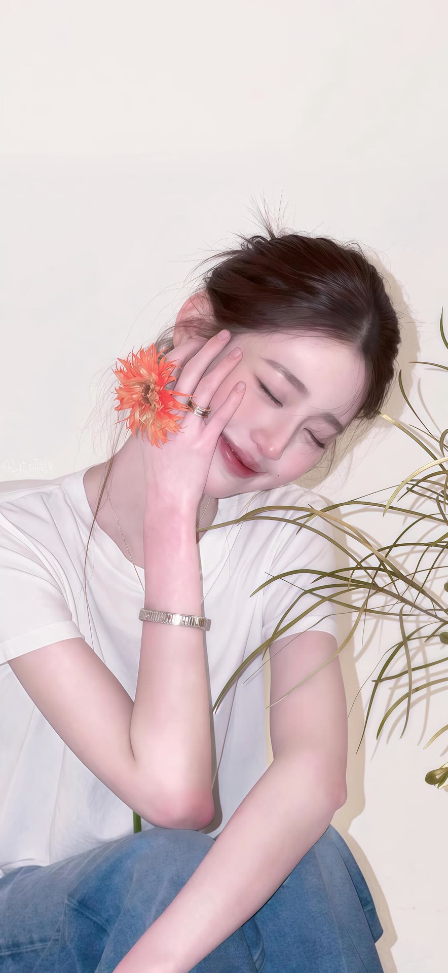 壁纸 (24)