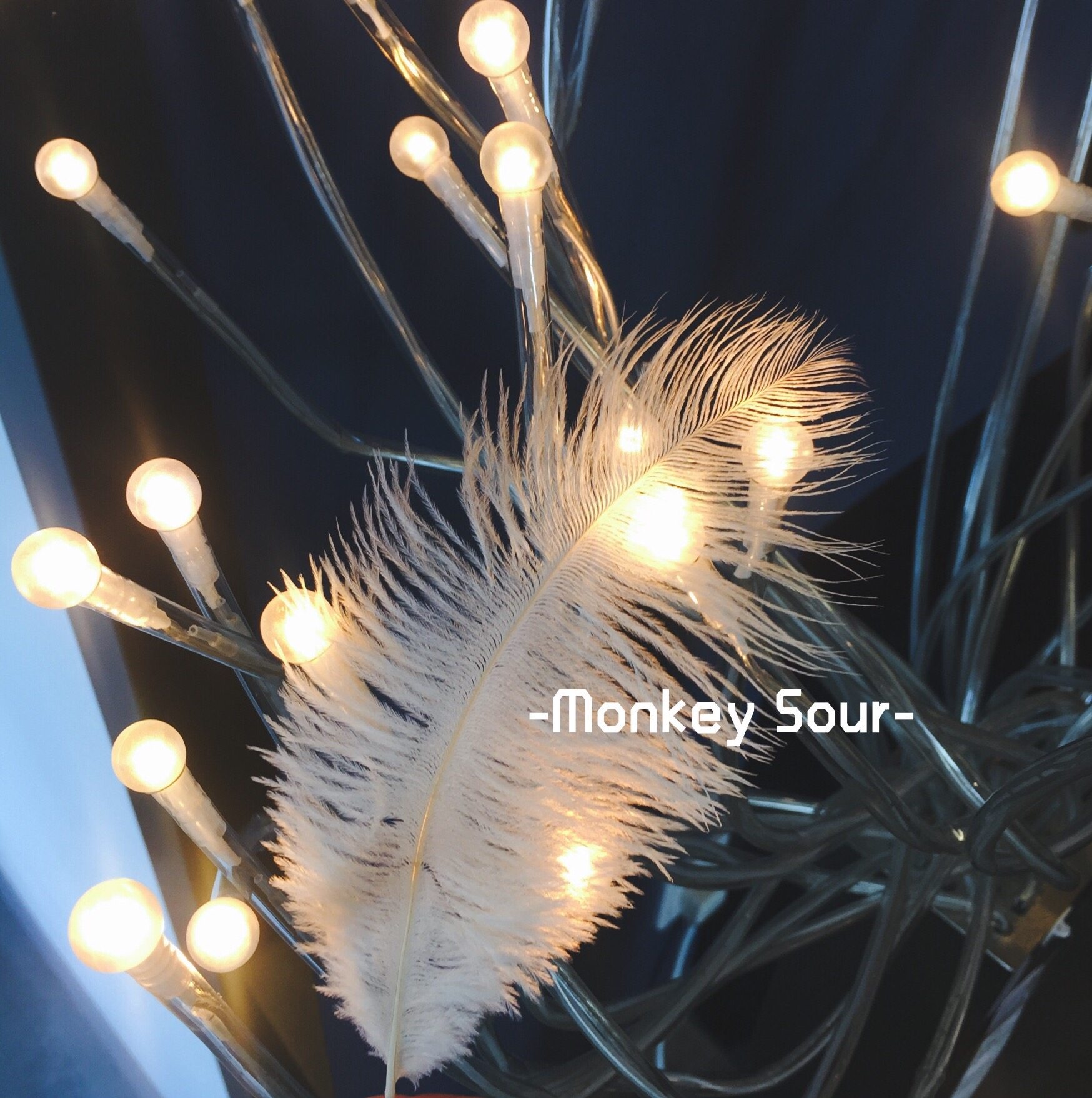 ins wind color long ostrich feather photo prop floating and soft ornament hanging accessories clothing background swing pat props