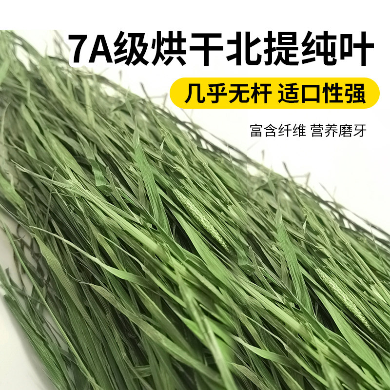 Grade 7A drying TiMoses grass pure leaves almost no bar suitable to pick up the mouth Rabbit rabbit guinea pig dragon cat hay North Tie 500g