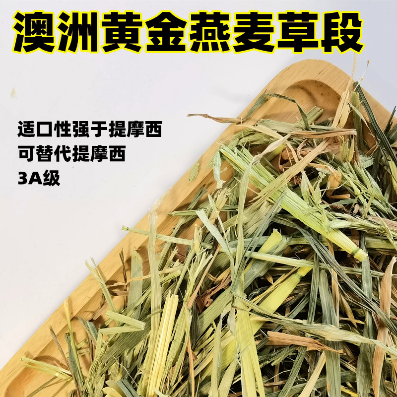Grade 3A Australia Mak 500g Imports Australia Gold Oat grass Grass Section Rabbit Dragon Cat Guinea Pig Timothy Hay Hay Fodder