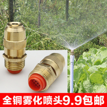 All copper bullet Atomization Nozzle high pressure agricultural spray irrigation lawn sprinkler irrigation landscaping cooling sprinkler