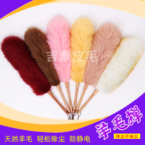 Household Dust Duster Household Non-shedding Sweep Cleaning Feather Duster Fiber Spectrum Technology Support Spring Plain Color