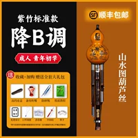 Профессиональная ландшафтная живопись на уровне производительности B-Flat + Полный набор подарков