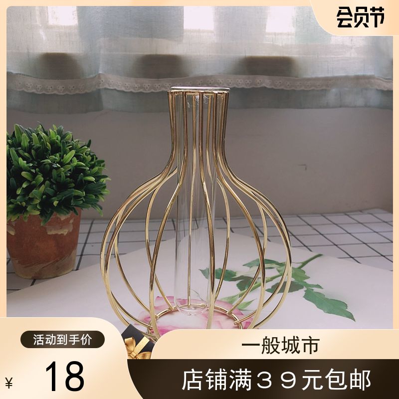 INS Nordic minimalist first column gold plated iron frame glass test tube vase hydroponic plant flower vase living room decoration