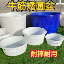 Thickened Bull Fascia Basin Round Plastic Short Basin Home Bucket Fish fish tank Large Number of bath barrel Barrel Wine Barrel Bucket