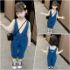 Girls overalls suit 2023 new foreign style children's casual pants girl baby jeans spring and autumn Korean version