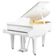 SPYKER Spyker Anh Nhập khẩu Grand Grand Piano Tự động Chơi Piano điện Thương mại HD-W186 - dương cầm