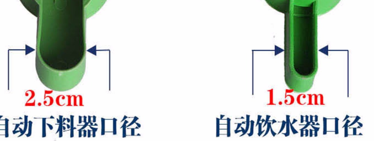 Chim và chim với nước uống tự động rầy vẹt chim vẹt bát chống nước tưới chai nước cung cấp chim - Chim & Chăm sóc chim Supplies máng ăn cho chim