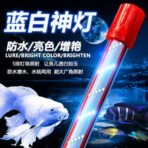 Fish tank butterfly carp special blue and white light LED light full spectrum waterproof diving light classic golden dragon brightening light