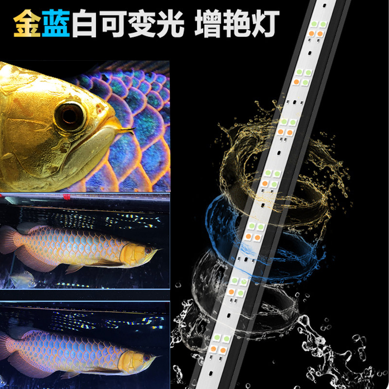Maprint God Lights Golden Dragon Fish Special Light Fish Tank Lamp LED waterproof light Double-mode gold blue and white Brightening Lamp water straw lamp