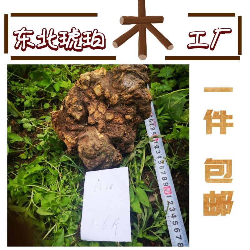 Natural log original ecological ornament root carving natural dead wood dead wood pine tree Mingzi amber wood agarwood