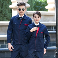 A-Тибетский синий лацвет с красным