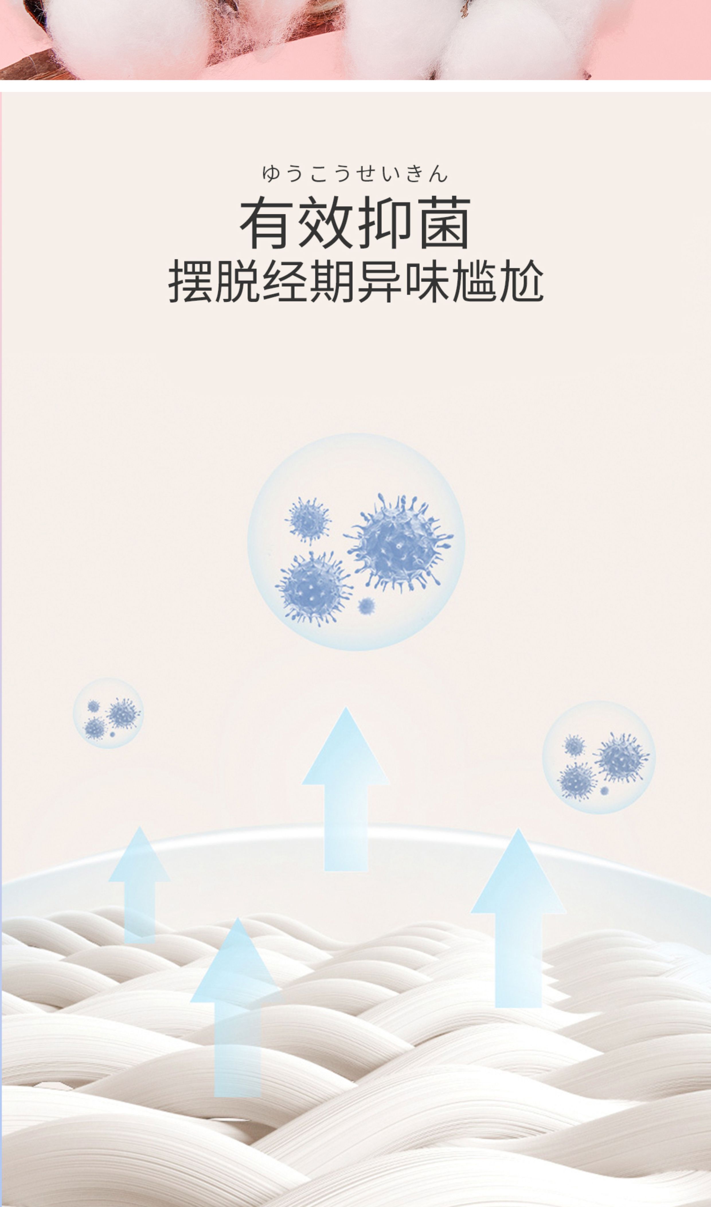 日本花王KAO乐而雅卫生巾日用夜用安心裤护垫透气绵柔姨妈巾亲肤 — 24
