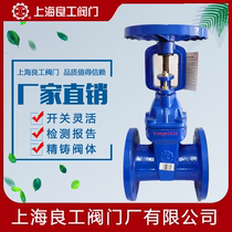 Shanghai Lianggong valve Z41X-16Q elastic seat seal flange gate valve RRHX-16Q soft seal open rod gate valve