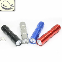 Flashlight small portable girls mini No 5 battery Girls pocket led flashlight 1W aluminum alloy mini hand