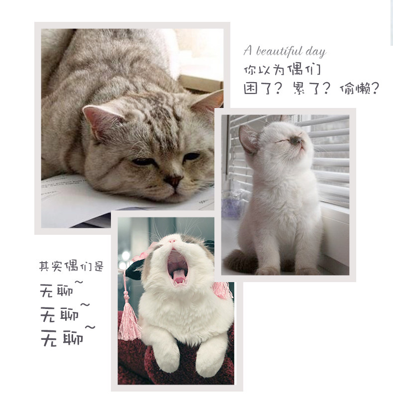 [7871-镂空猫咪球（3只装）-详情_02.jpg]