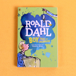现货正版 好小子我的童年往事 BOY 罗尔德达尔系列书 Roald Dahl 经典英文书籍7-10岁 中小学课外阅读青少年小说 进口英文原版书