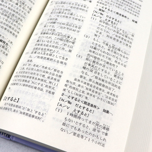 正版 日本语句型辞典 日本语文型辞典 精装 日本语文型辞典 日语学习词典日本语文型辞典 日语学习字典词典用书 外研社