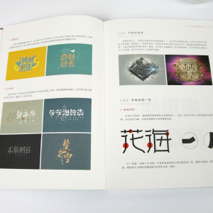 字白书 te效字体设计专业教程 字体设计视频教程 字体设计教程 理论方法技巧 平面设计书 字体设计进化论 站酷推荐