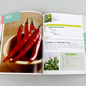 放心蔬菜自己种 蔬菜种植技术大全书籍 大棚蔬菜种植技术 大全室内阳台有机蔬菜种植书籍大全 农业新手农业种植技术大全书白菜辣椒