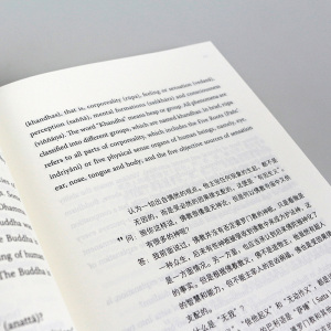 佛教常识答问(博雅双语名家名作)(汉英对照) 佛教书籍 佛学知识 佛学入门 佛学问答 哲学 宗教 佛教 宗教普及读物 文学哲理