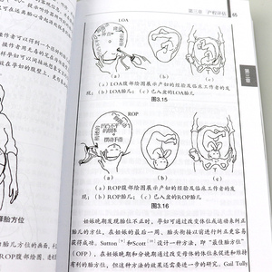 正版 助产手册:早期预防和处理难产(第3版) 妇产科学助产学教材书籍 医学 妇产科学 产科 广东科学技术出版社