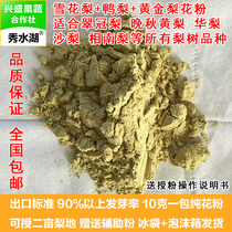 梨树人工授粉上粉10g一包翠冠晚秋黄金梨雪花华沙梨花粉高纯度精