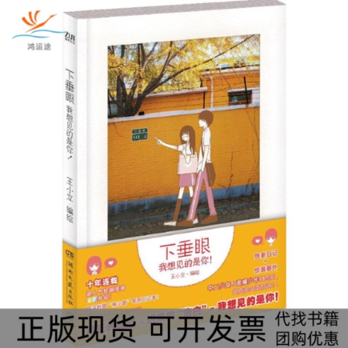 [Authentic Book with Free Shipping] Sagging Eye Wang Xiaoli, Hunan Literature and Art Publishing House