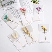 Dried flower card ins hipster wheat rabbit tail grass card props ornaments retro background flower photo props
