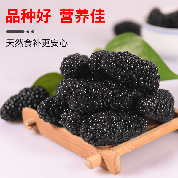 自家枣铺 新疆吐鲁番 黑桑葚干 250g*2袋 天猫优惠券折后￥20.8包邮（￥23.8-3）