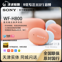 Sony Sony WF-H800 True Wireless Color Bean Sports Bluetooth Headset