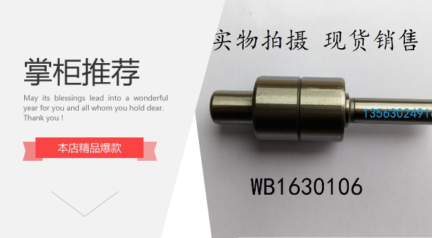 Car Water Pump Bearing Bwf30-15Arr6 W2415-1S Fps106 Wpb16105Brs