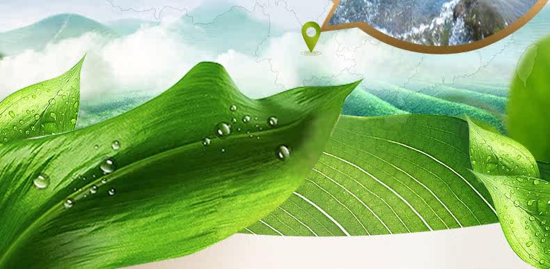 Extension mèches - Ref 224832 Image 31