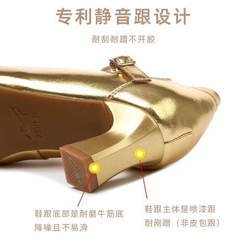 Кожаная золотая латинская танцевальная обувь 2024 Новая овчина стандартная танцевальная обувь