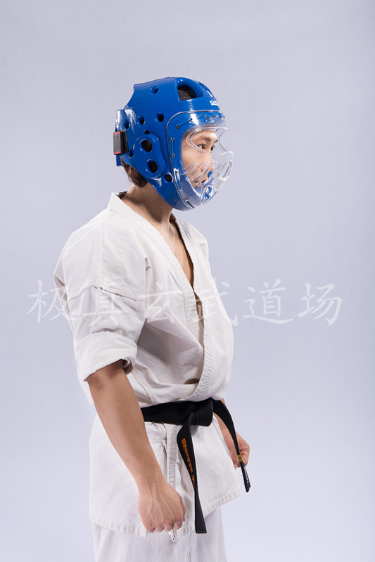 Karate Taekwondo helmet