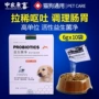 Probiotic thú cưng nhỏ 10 túi mèo sữa cho chó mang thai