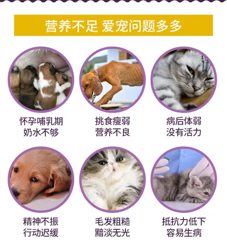 Pet dinh dưỡng kem mèo con mèo con lecithin đặc biệt vỗ béo Teddy dog ​​dinh dưỡng điều hòa đường tiêu hóa - Cat / Dog Health bổ sung Sữa cho chó lớn