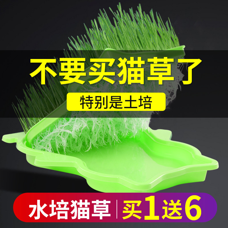 猫草水培盒盆栽种子幼猫零食去毛球懒人猫草种籽化毛猫咪用品全套