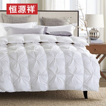 Hengyuanxiang 90 white duck down duvet warm quilt core five-star hotel single double spring and autumn quilt